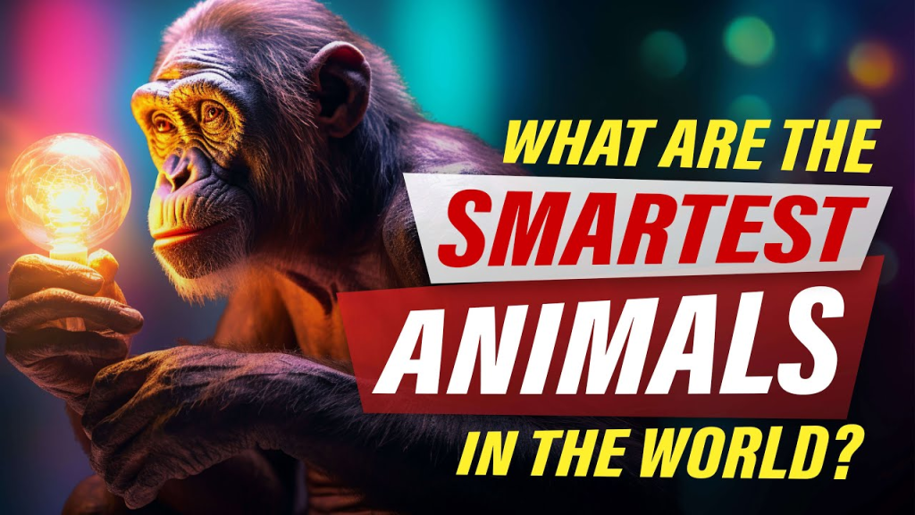 Unveiling the Intelligence The Smartest Animals in the World